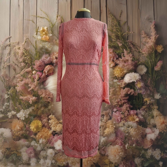 love x design lace dress Love X Design Nordstrom Womens Sheath Dress Large Lace Magenta Wedding Guest